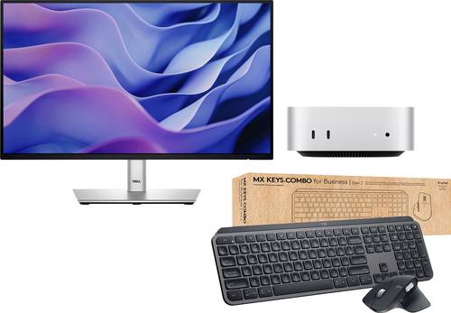 Apple Mac mini Mac mini (M6, 2026) + MX Keys Combo for Business - Gen 2 + P2225H Professional
