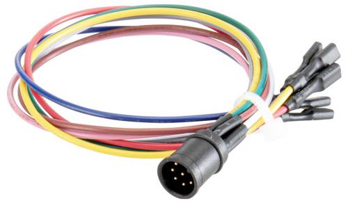 Schlegel PXK8F200 PXK8F200 M12-Einsatzstecker 1 St.