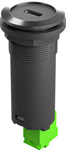 Schlegel RRJVA_USB_C_PD RRJVA_USB_C_PD USB-C Ladebuchse 1 St.