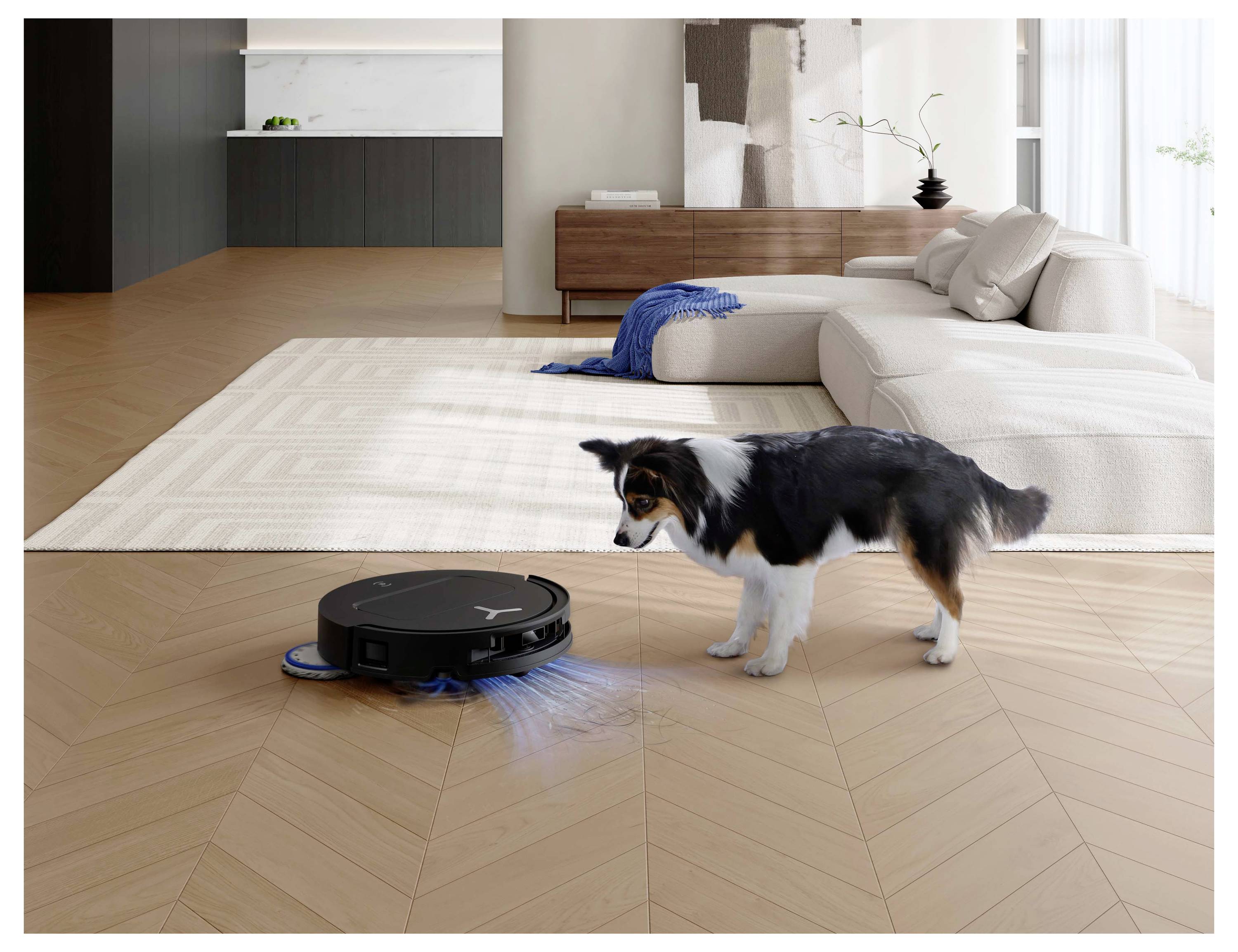 Ein Roboterstaubsauger reinigt ein Wohnzimmer mit Holzboden, während ein kleiner Hund in der Nähe zuschaut.