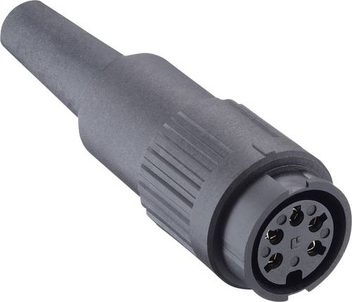 Lumberg 166024 Sensor-/Aktor-Steckverbinder, unkonfektioniert Polzahl Sensoren: 6 1 St.