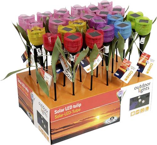 Solar-Dekoleuchte Blume 5er Set LED Sortiert (Farbauswahl nicht möglich)