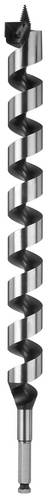 Bosch Accessories 2609255249 Schlangenbohrer 22 mm Gesamtlänge 450 mm Sechskantschaft 1 St.