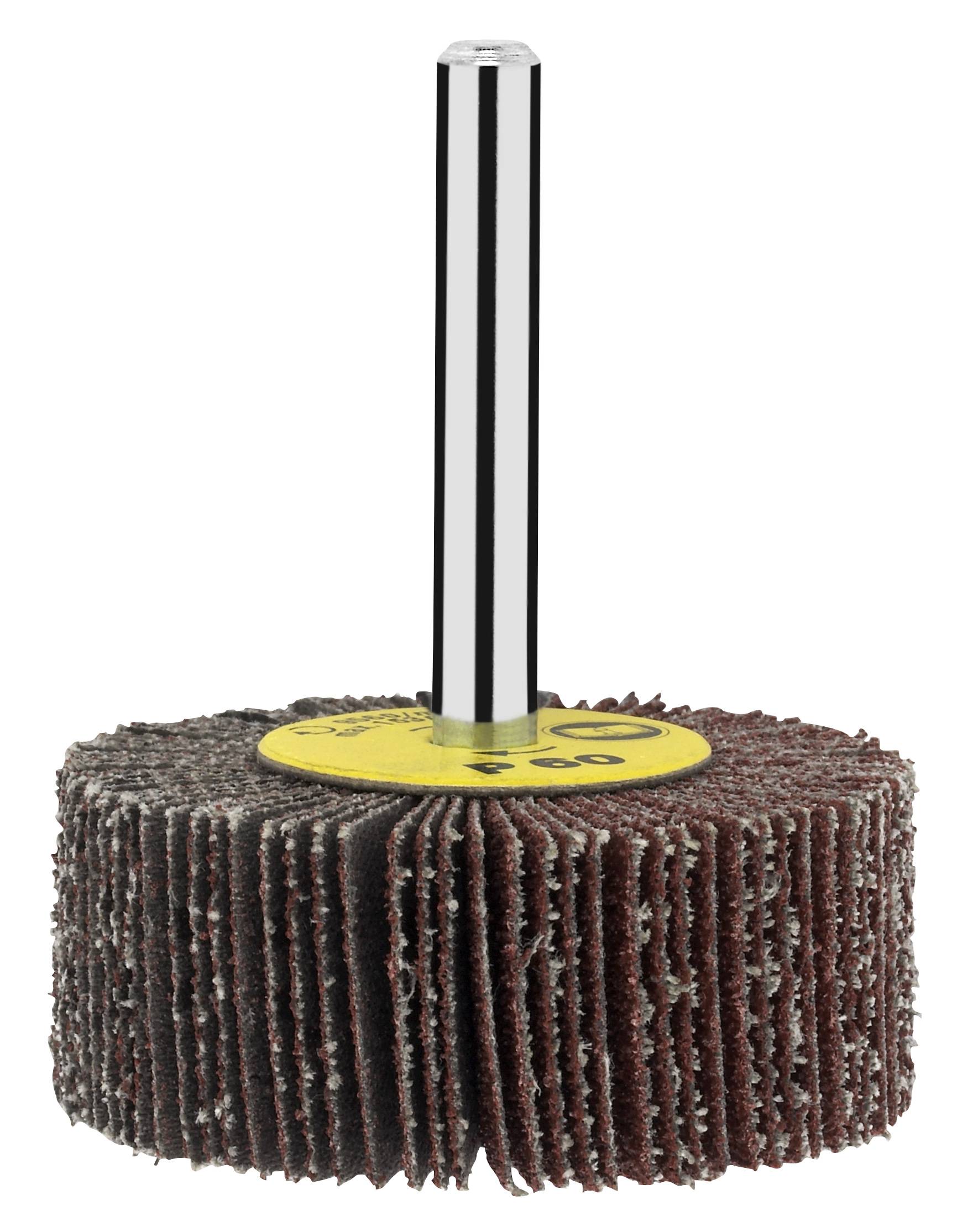 Bosch Accessories 2609256283 Lamellenschleifer für Bohrmaschinen, 50mm D = 50 mm; K = 120 1St.