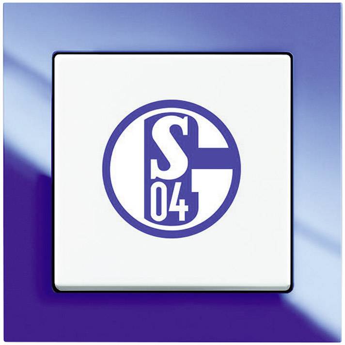 Busch-Jaeger Einsatz Wechselschalter Axcent Blau, Weiß 2000/6 UJ/02 1St.