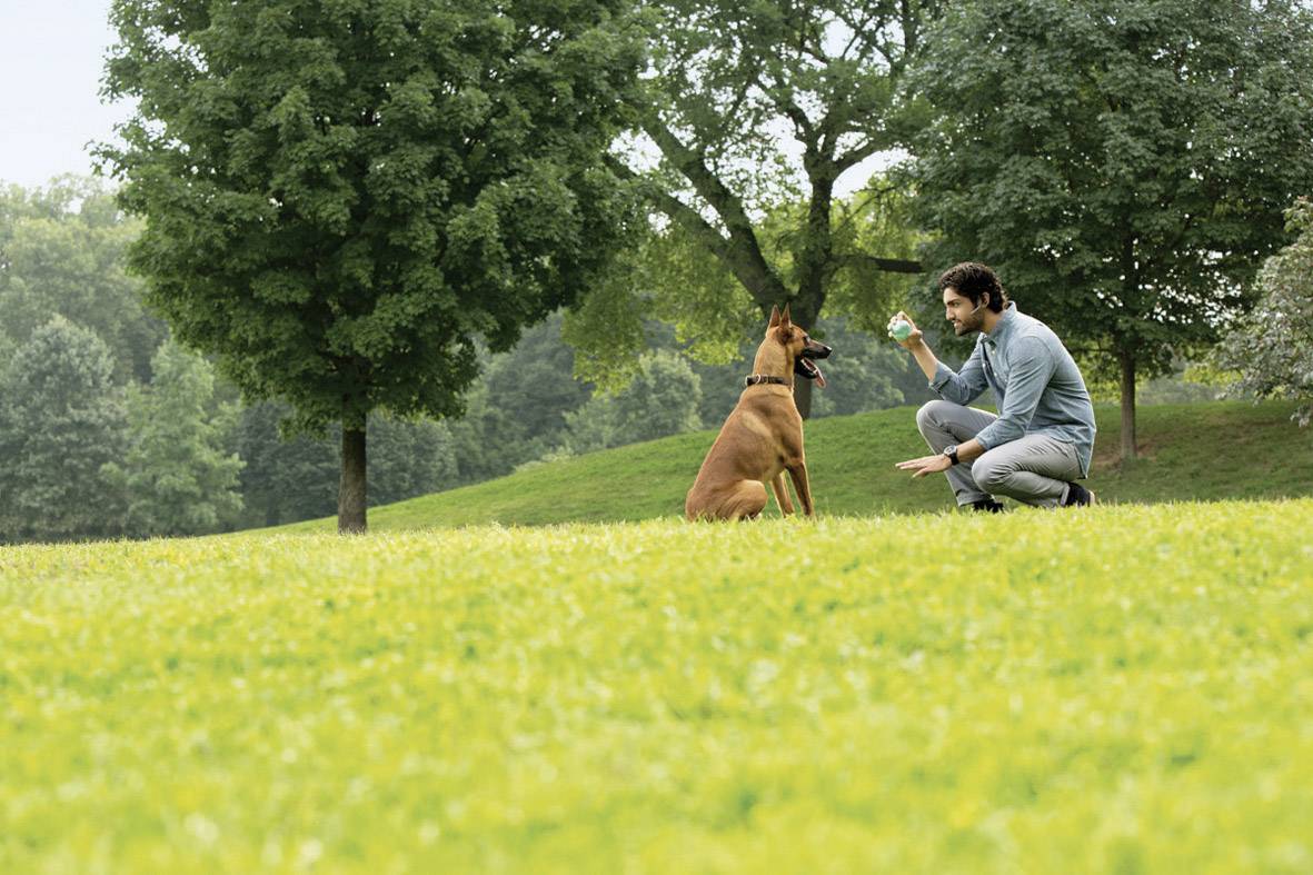 Plantronics UC B235-M Telefon-Headset Bluetooth schnurlos, Mono In Ear Schwarz