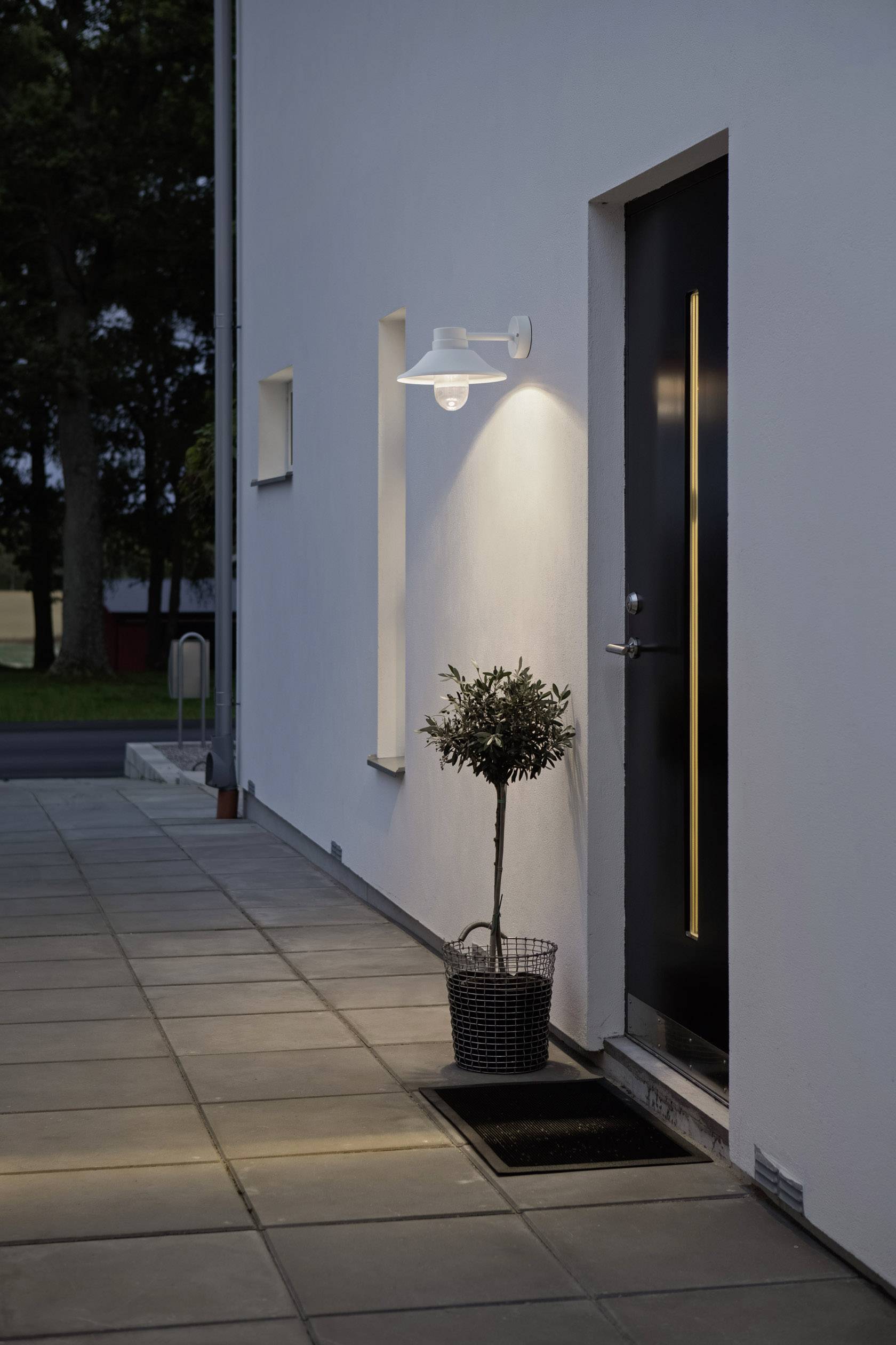 Moderne Hausfassade bei Dämmerung, mit beleuchtetem Eingang und kleinem Baum in einem Topf neben der Tür.