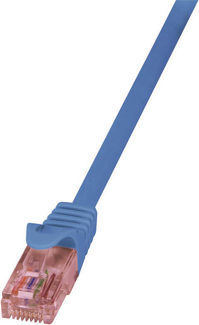 Ein blaues Ethernet-Kabel mit einem roten, durchsichtigen RJ45-Stecker.