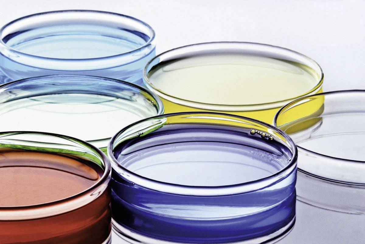 Lascar Electronics EL-USB-2-LCD+ EL-USB-2-LCD+ Multi-Datenlogger Messgröße Temperatur, Luftfeuchtigkeit -35 bis 80 °C 0 bis 100 % rF