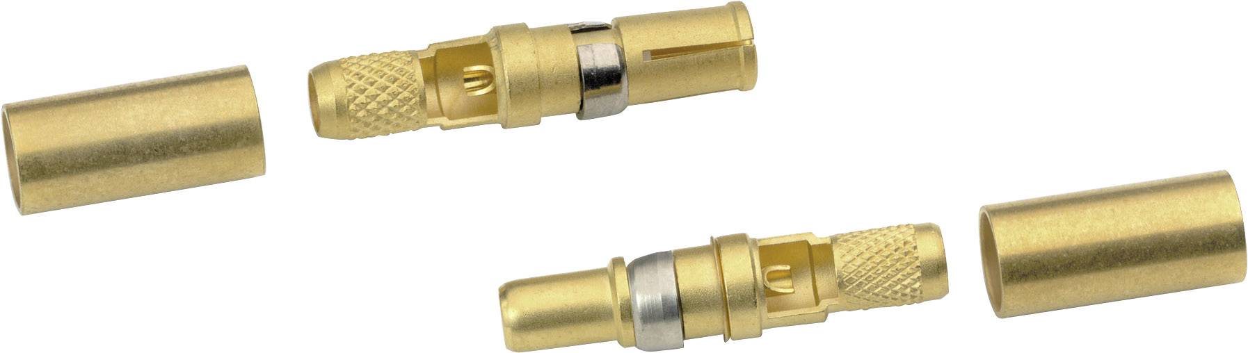 Zwei goldene Bananenstecker mit Metallkontakt und Schraubverschluss, jeweils teilweise zerlegt, zur Verbindung von Lautsprecherkabeln.