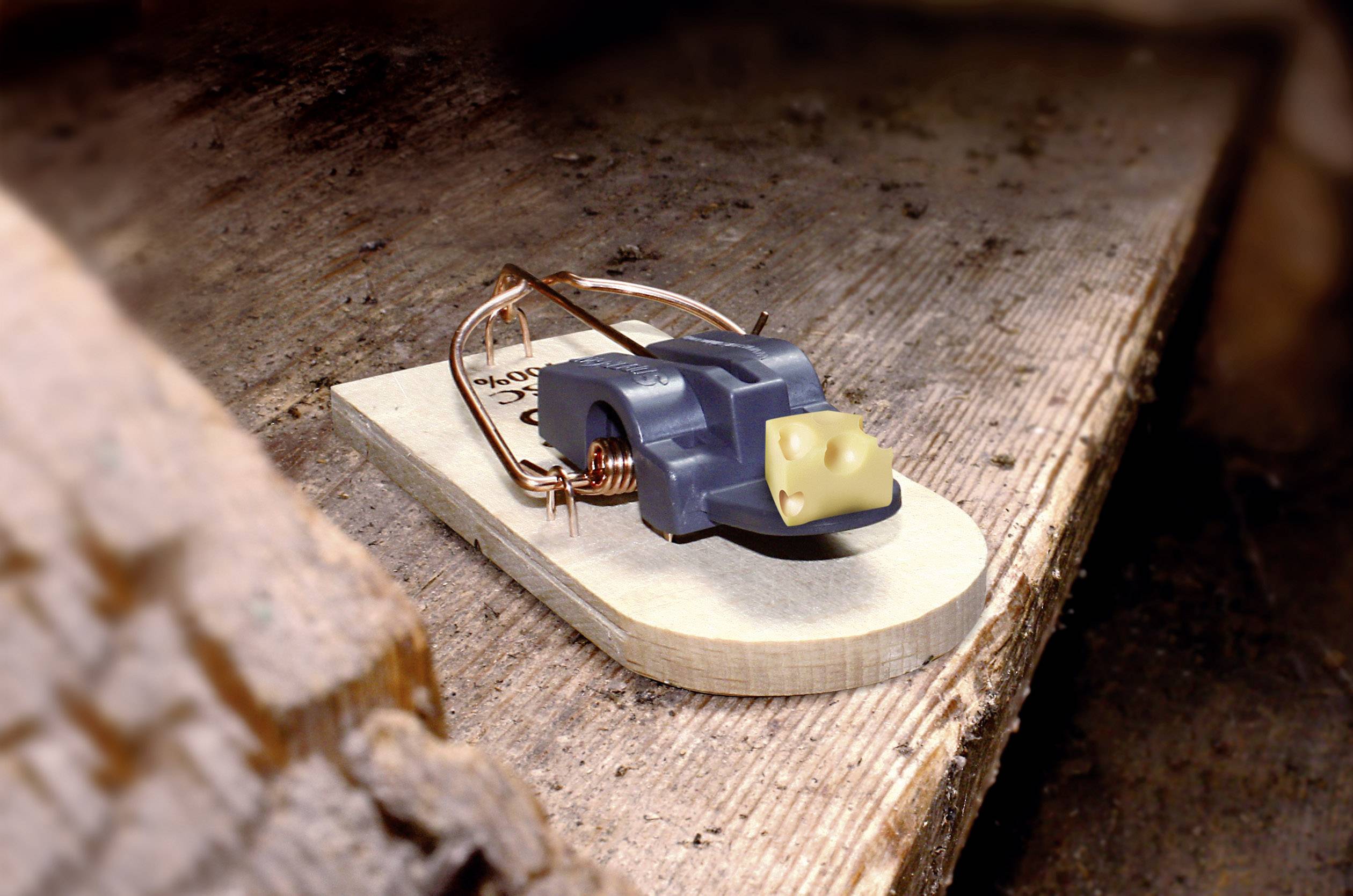 Swissinno SuperCat FSC Mausefalle 2 St.