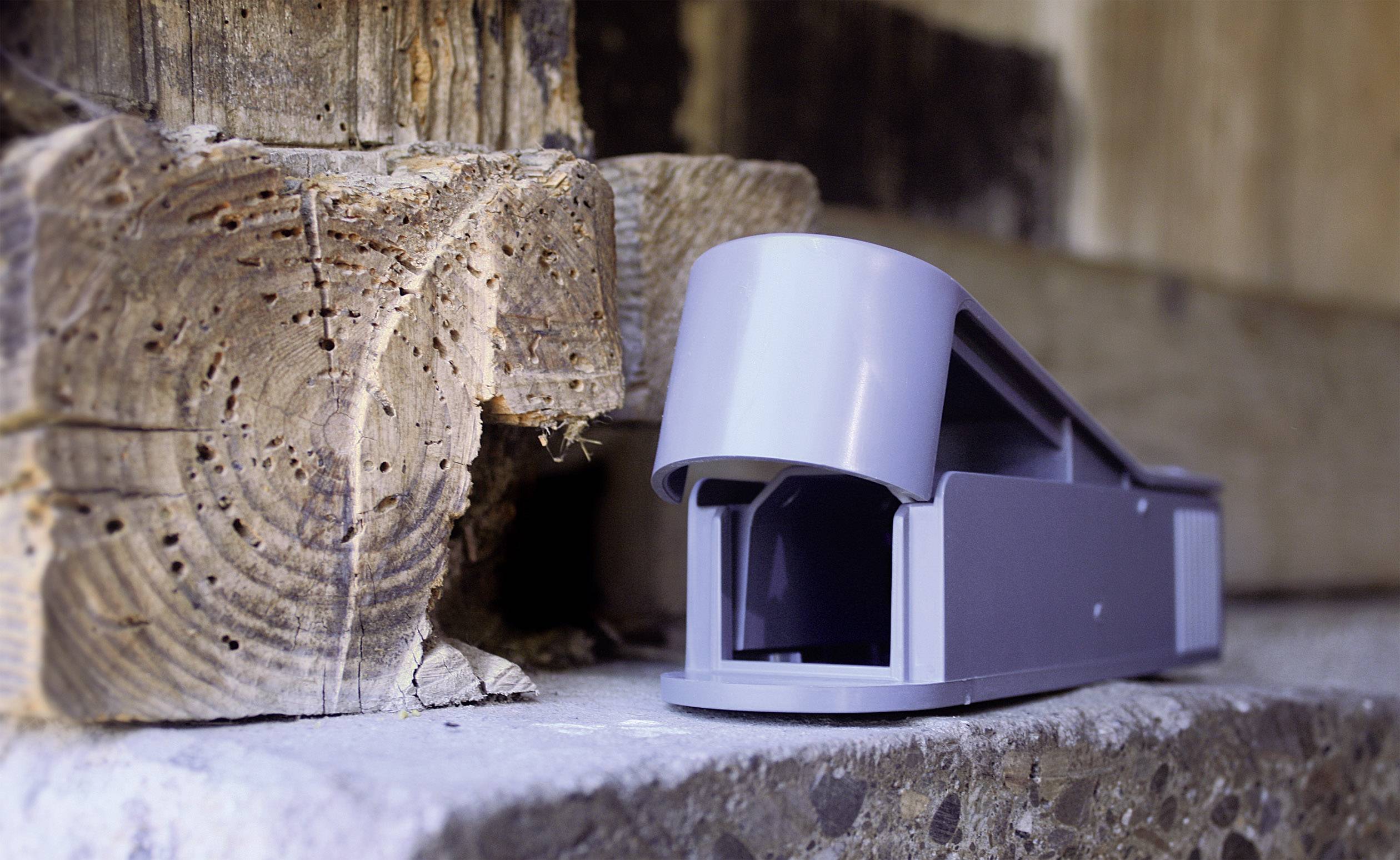 Swissinno SuperCat MouseHouse Lebendfalle Funktionsart Lockstoff Erdnussbutter-Köder 1 St.