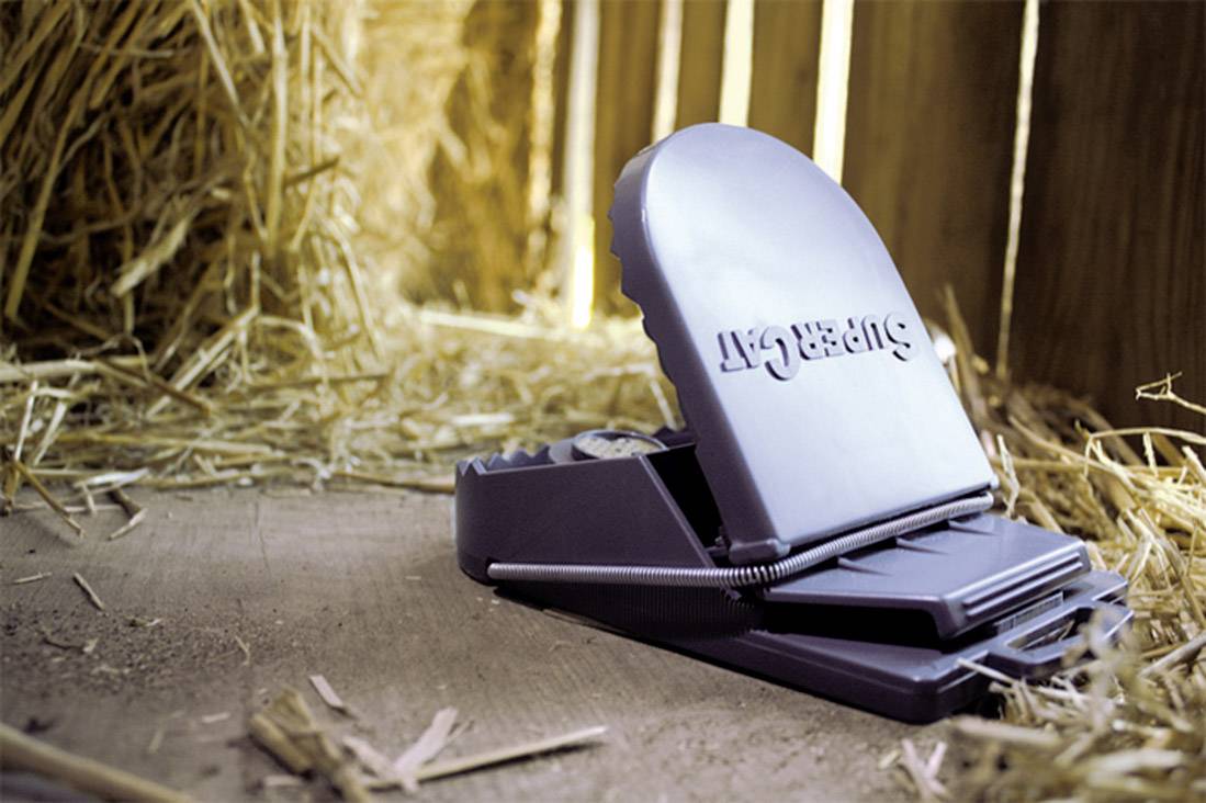 Swissinno SuperCat Rattenfalle Funktionsart Lockstoff 1 St.