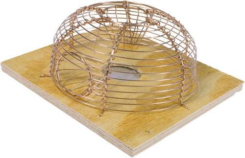 Swissinno Mouse Classic Lebendfalle 1St.