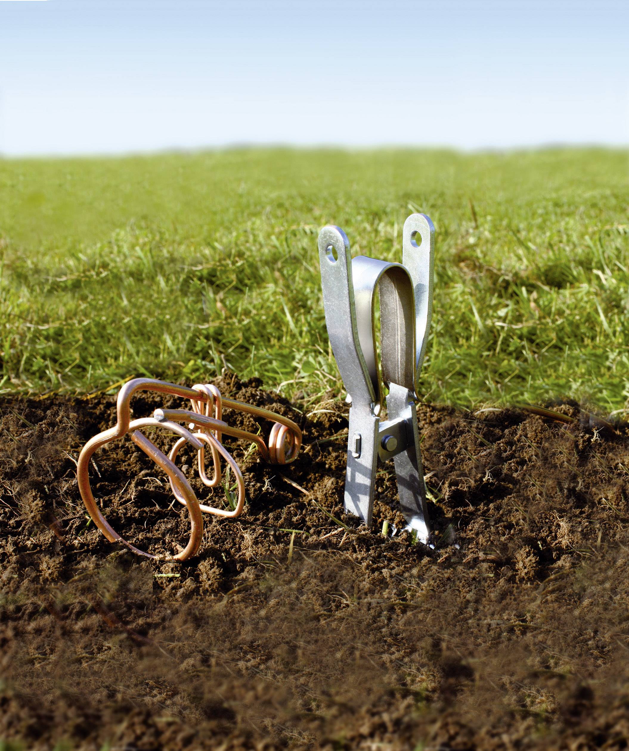 Zwei tierähnliche Metallfiguren scheinen aus Erde zu ragen, eine aus Kupfer, die andere aus silberfarbenem Metall, vor Rasenhintergrund.