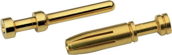 Zwei goldfarbene, metallische Stecker, einer lang und schlank, der andere mit schmaler Spitze, liegen nebeneinander auf hellem Hintergrund.