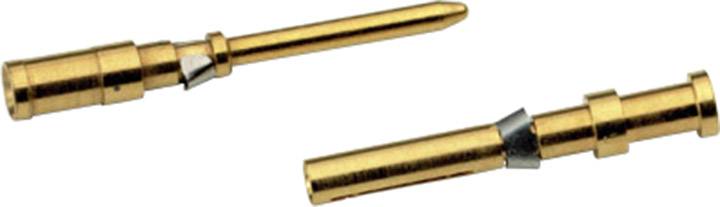 Zwei goldfarbene elektrische Steckkontakte liegen nebeneinander. Sie sind zylinderförmig mit einem kleinen Winkel auf jeder Seite.