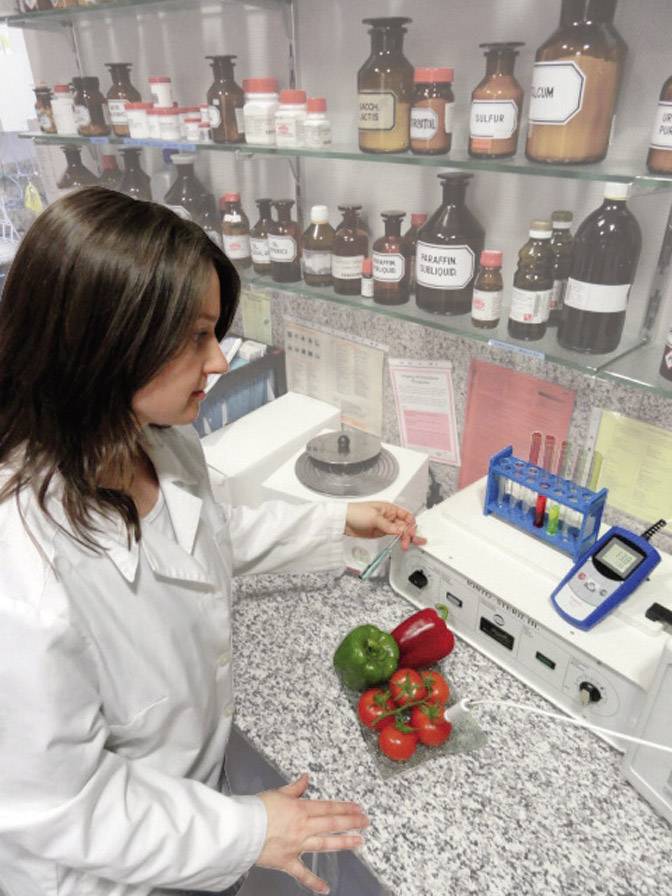 Greisinger GMH 2710 Einstichthermometer Messbereich Temperatur -200 bis +200 °C Fühler-Typ Pt1000