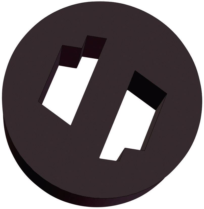 Das Bild zeigt eine schwarze runde scheibenförmige Struktur mit zwei unregelmäßigen rechteckigen Ausschnitten.