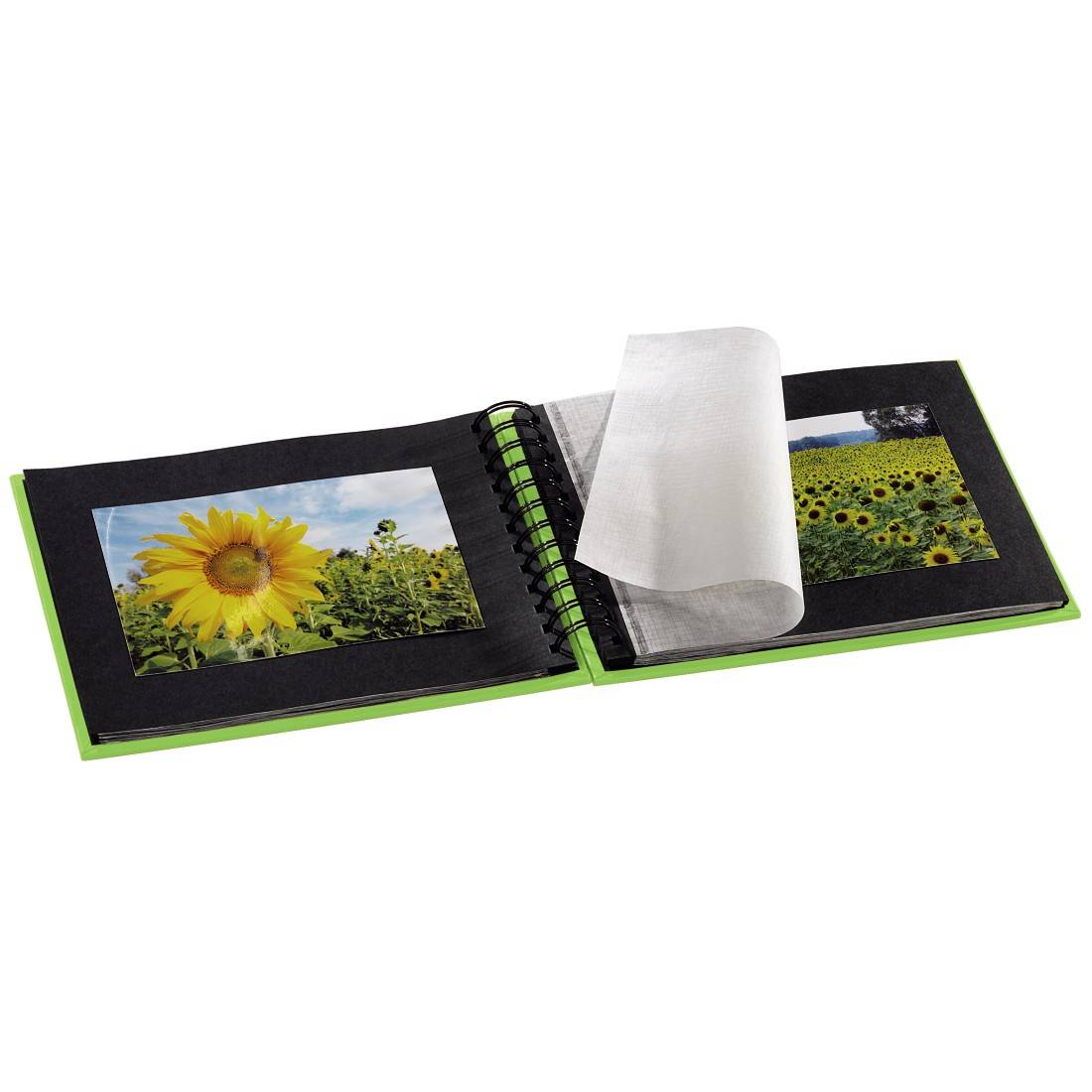 ALB.FINE ART 24X17/50 KI