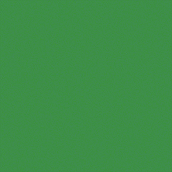 Tetenal Hintergrundkarton (L x B) 11m x 135cm Grün