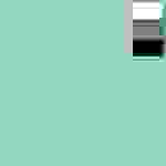 Walimex Stoffhintergrund (L x B) 6m x 2.85m Minz-Grün