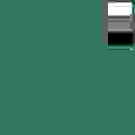 Walimex Stoffhintergrund (L x B) 6m x 2.85m Smaragd