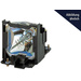 Viewsonic RLC-080 Beamer Ersatzlampe Passend für Marke (Beamer): ViewSonic