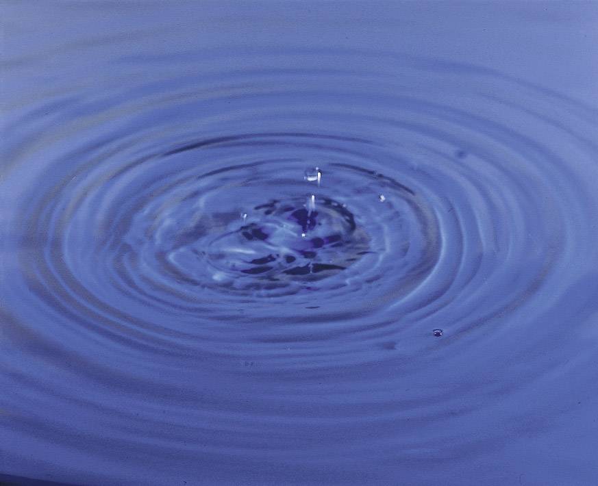 Stelzner Teststäbchen Nitrat 6St.