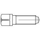 TOOLCRAFT 107976 Vierkantschrauben M10 60mm Vierkant DIN 480 Stahl 50St.