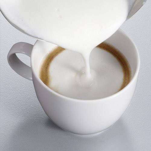 Severin SM 9495 9495 Induktions-Milchaufschäumer Schwarz, Edelstahl 500 W