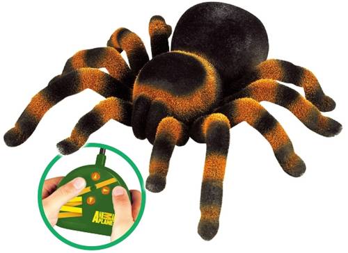 Spinne Tarantula RC Einsteiger Funktionsmodell Spinne