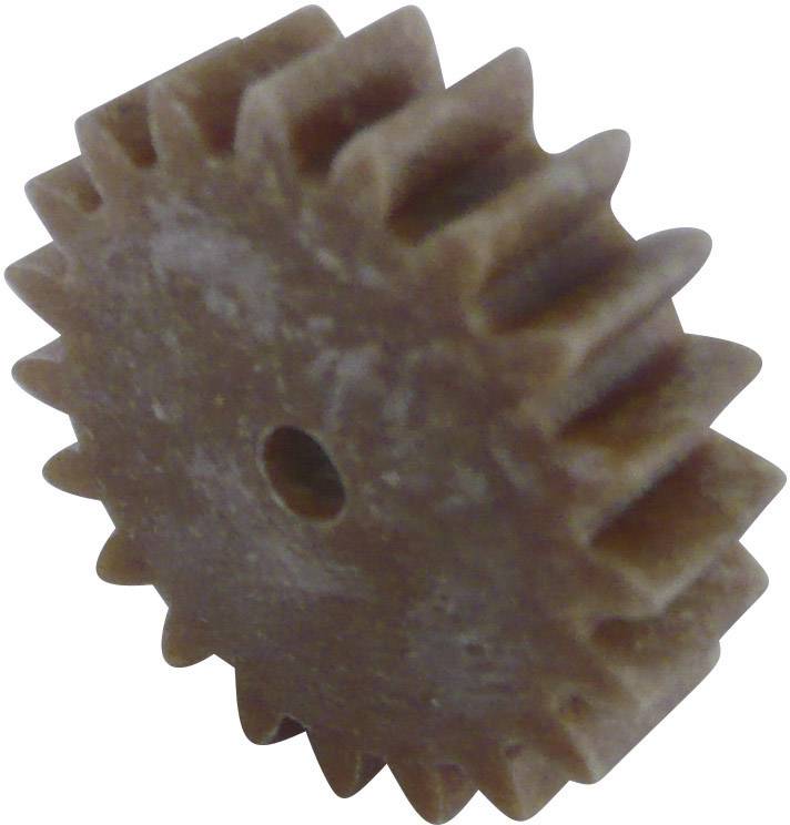 Reely Holz, Kunststoff Zahnrad Modul-Typ: 1.0 Anzahl Zähne: 30 1 St.