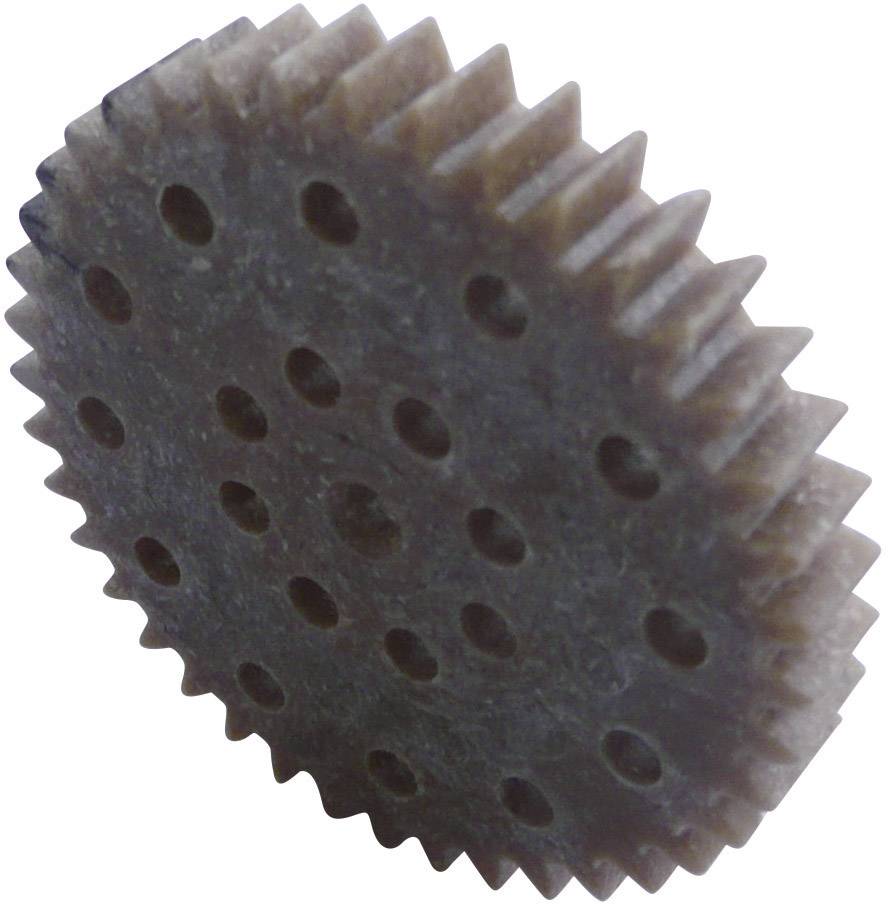 Reely Holz, Kunststoff Zahnrad Modul-Typ: 1.0 Anzahl Zähne: 40 1 St.