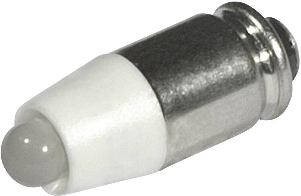 Ein kleiner, zylindrischer Glühlampeinsatz in metallischer und weißer Fassung, typischerweise für Taschenlampen verwendet.