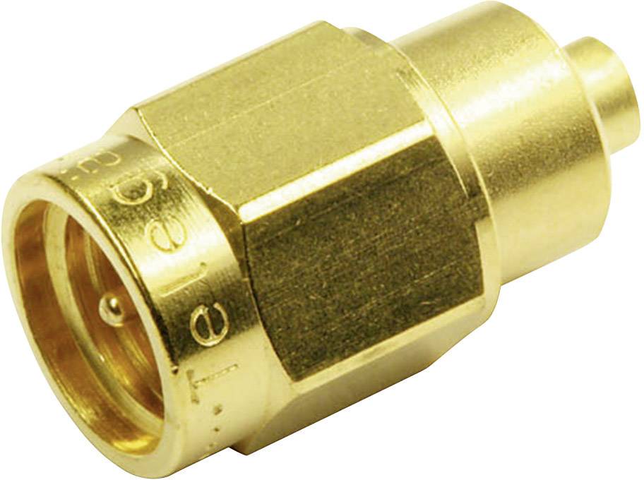Ein goldener Koaxialstecker, oft in Audiogeräten verwendet, zeigt Detailansicht der Steckverbindung.