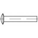 TOOLCRAFT 112341 Linsenniete (Ø x L) 3.5mm x 8mm Stahl 1000St.