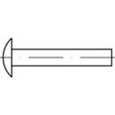 TOOLCRAFT 112352 Flachrundniete (Ø x L) 4mm x 6mm Stahl 1000St.