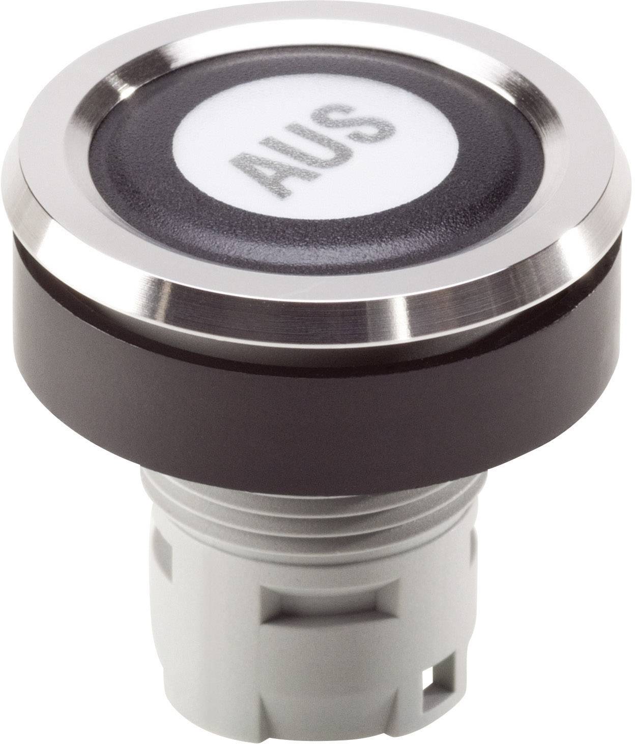 Schlegel RRJVAFTGN RONTRON R JUWEL RRJVAFTGN Folientaster beschriftbar Grün 10St.