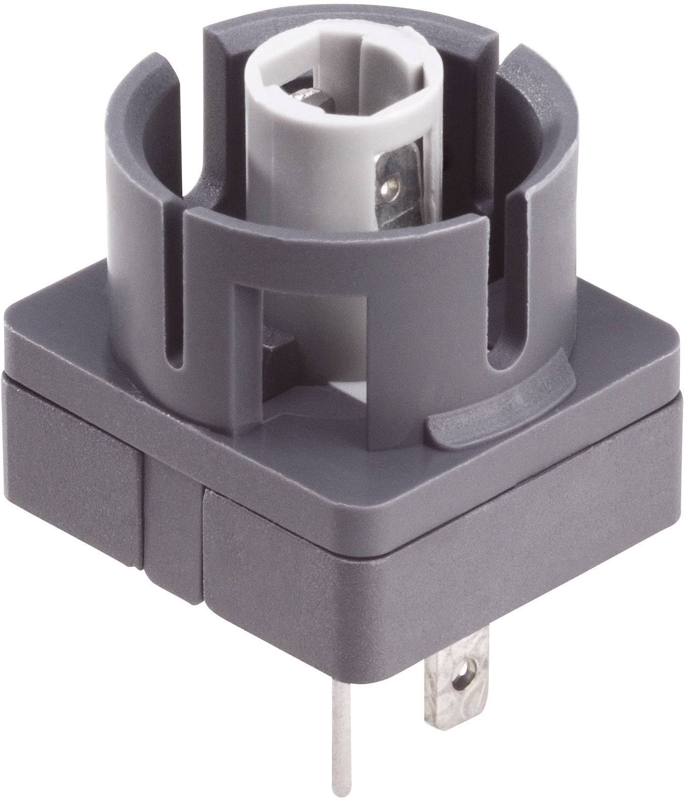 Schlegel BL5K Lampenfassung 10St.