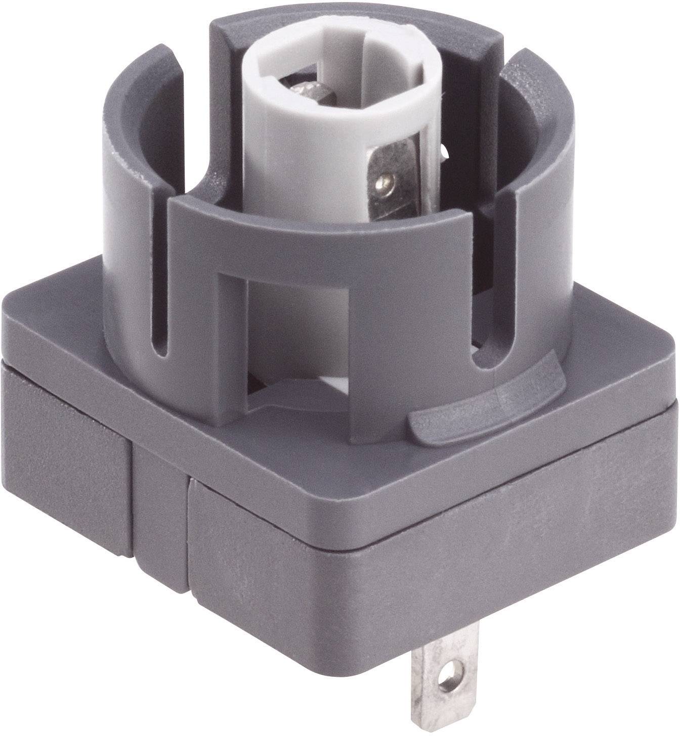 Schlegel CLF Kontaktelement 1 Wechsler 10St.