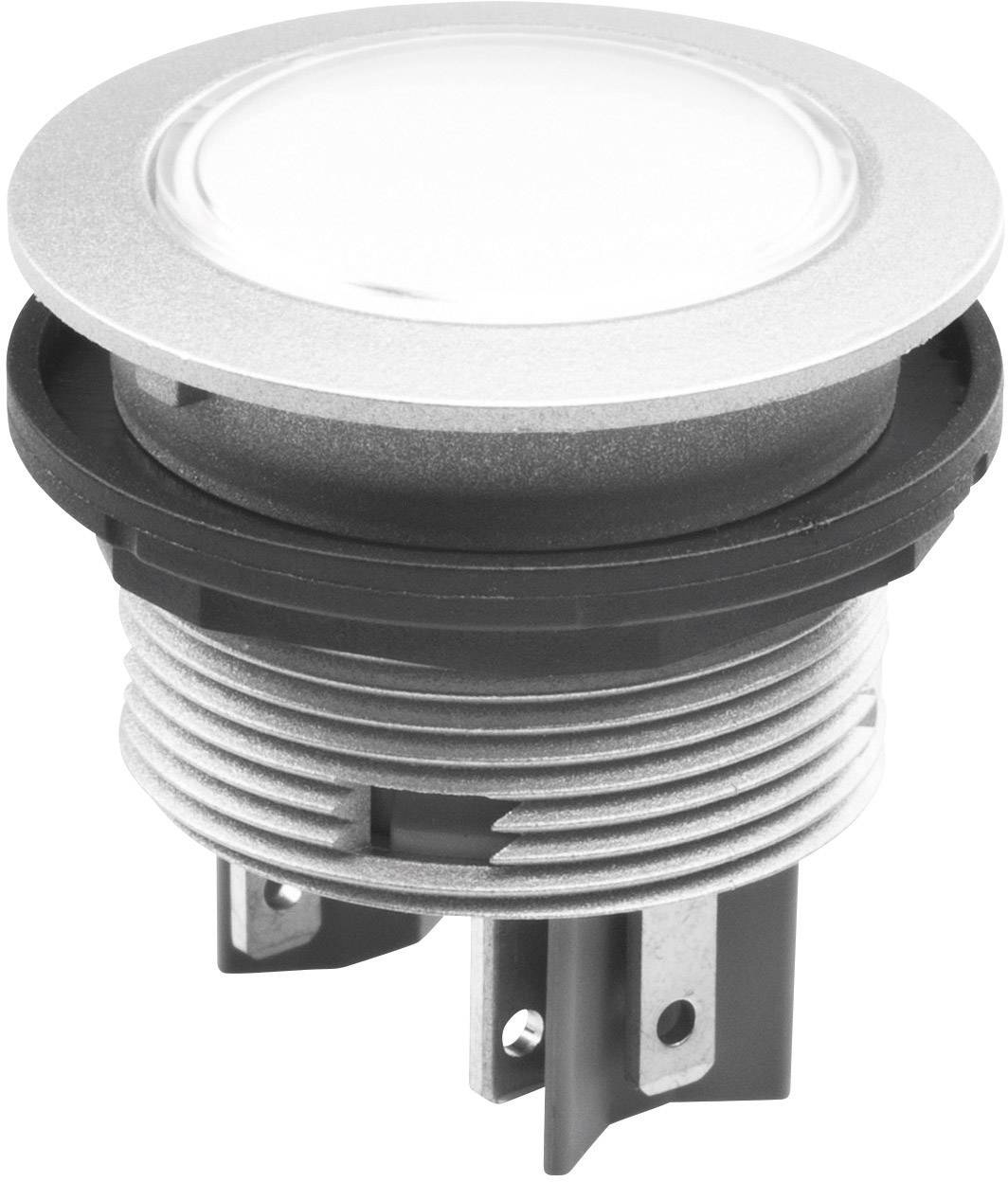 Schlegel STLII STLII Drucktaster 42V DC/AC tastend Weiß IP65/67 10St.