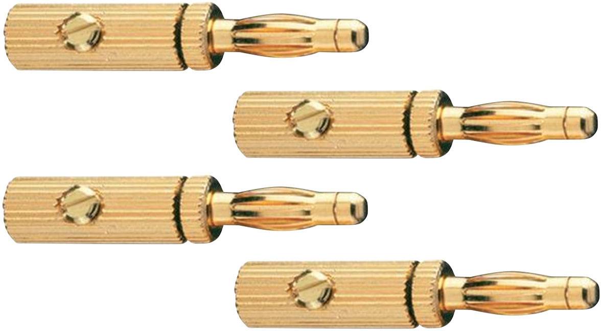 Vier goldene Bananenstecker für Audiokabel, in einer Reihe angeordnet. Sie haben gerändelte Griffe für besseren Halt.