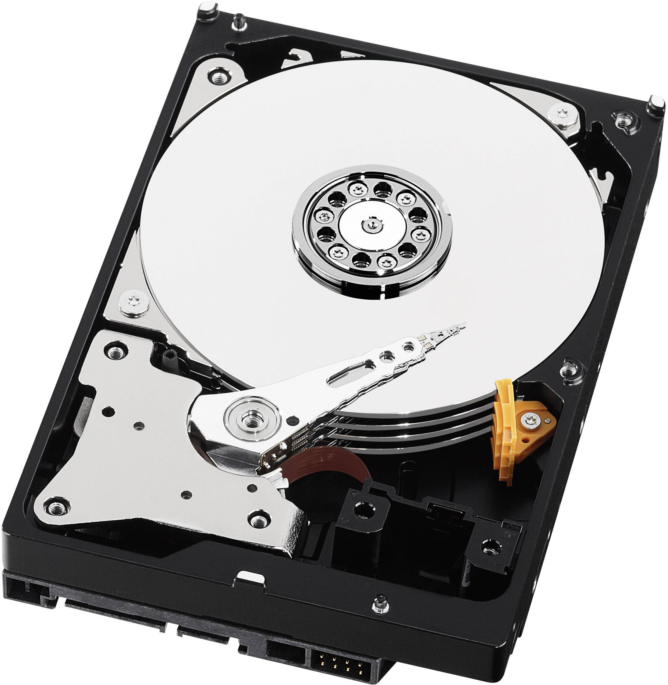 Western Digital Surveillance 1 TB Interne Festplatte 8.9 cm (3.5 Zoll) SATA III WDBGKN0010HNC-ERSN Retail