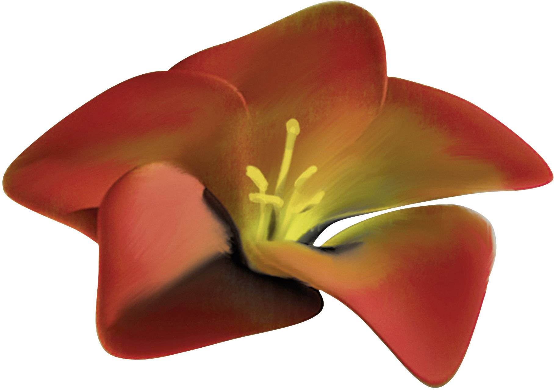 Kosmos 692193 Gardens Gemeinschaftsspiele Familienspiel ab 8 Jahre