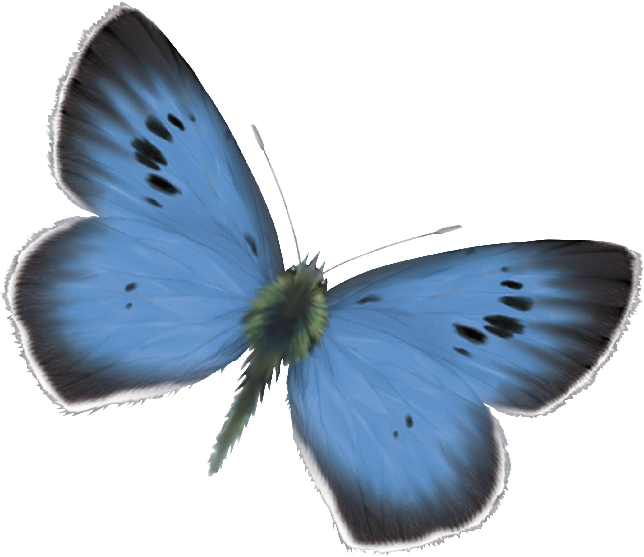 Kosmos 692193 Gardens Gemeinschaftsspiele Familienspiel ab 8 Jahre