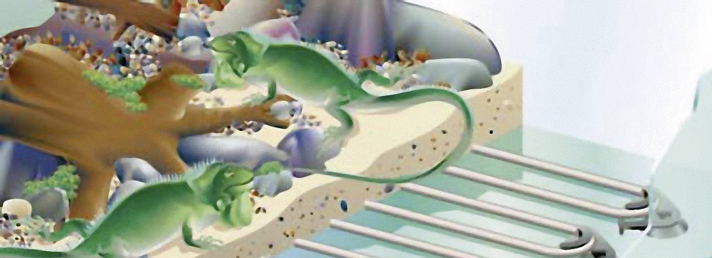 Eden WaterParadise 57321 Aquarium-Heizer