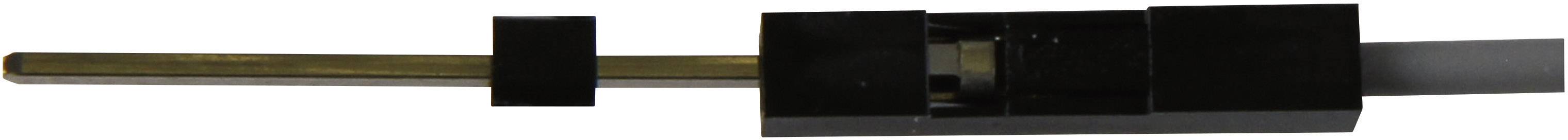 Eine schwarze mechanische Vorrichtung mit einem hervorstehenden goldenen Stab, möglicherweise Teil eines technischen Geräts oder Werkzeugs.