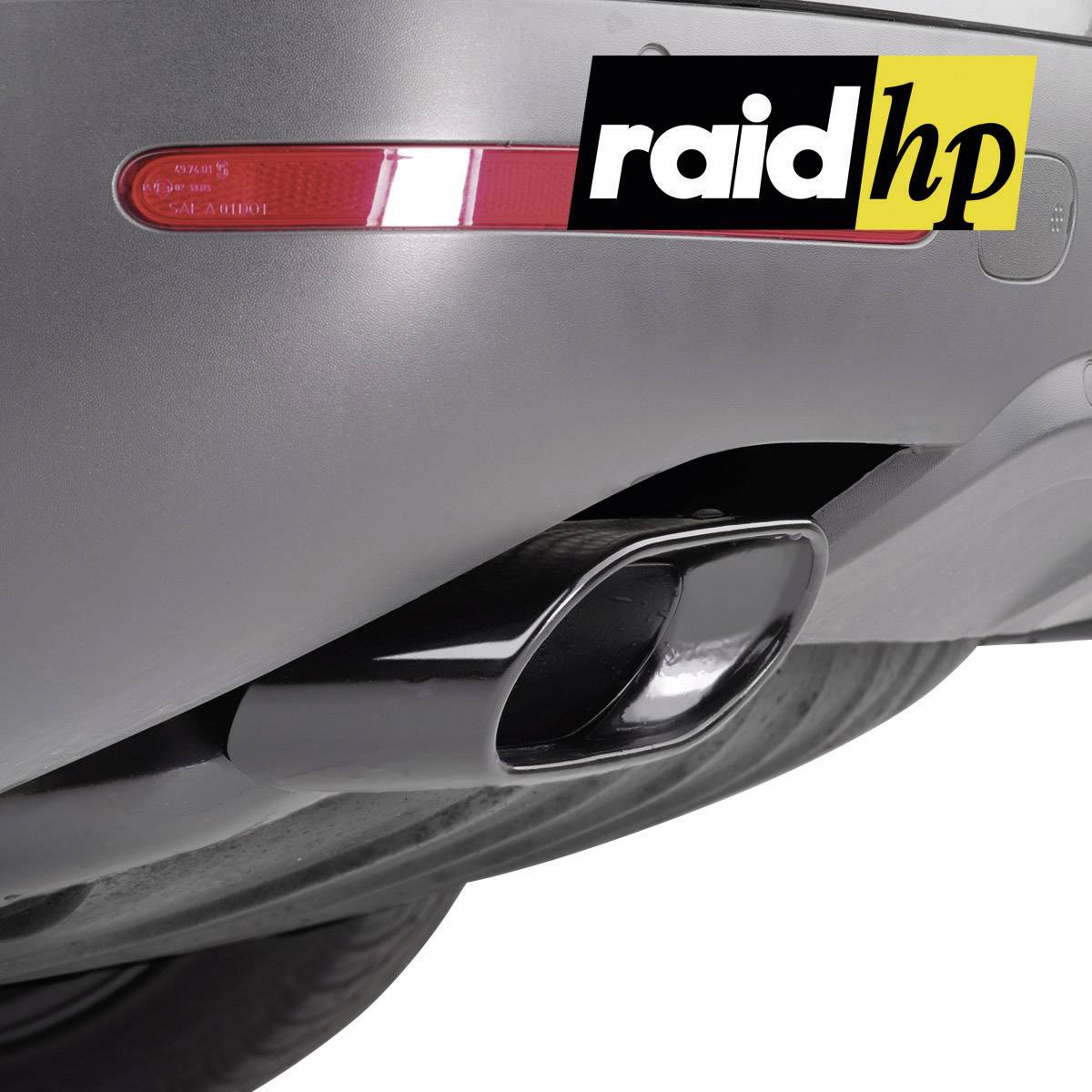 Raid hp 351000 Auspuffspray 400ml