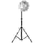 Walimex Pro Daylight-Set 600 Fotolampe